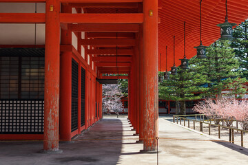 京都平安神宮 美しい春の廻廊