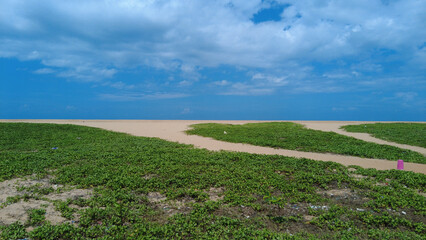 Fototapeta na wymiar Poovar golden sand beach, bright blue sky, Thiruvananthapuram, Kerala, seascape view 
