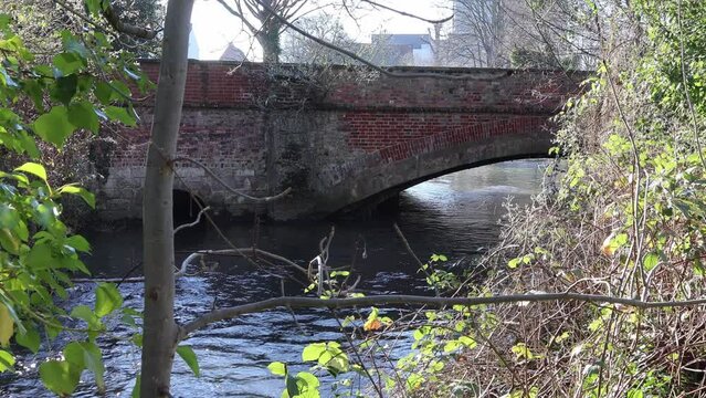 Great Stour River, Canterbury, Kent, uk
