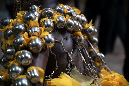 Metal pots with offerings hooked on the back of a Hindu devotee at Thaipusam in Penang, Malaysia