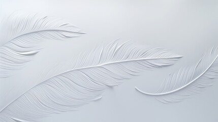 A feather embossed, tone-on-tone, on white paper