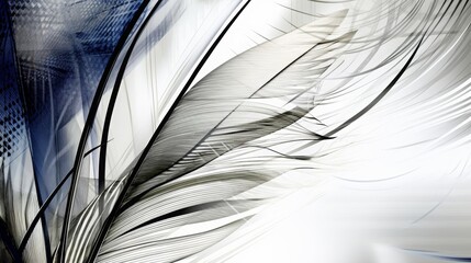 Close-up of feathers in black and white and a touch of color