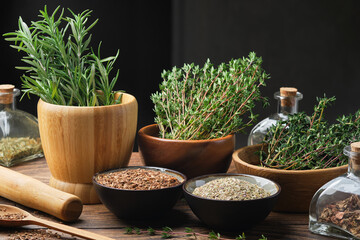 Bowls of dry different healing plants and fresh green medicinal herbs - rosemary and thyme. Bottles...
