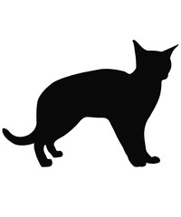 Cute cat silhouette vector illustration 