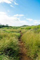 Kauai Landscape in Hawaii 