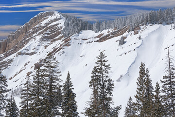 Fototapeta na wymiar Winter landscape of the San Juan Mountains snow flocked, Colorado, USA