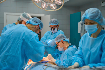 Plastic surgeons perform surgery on a patient