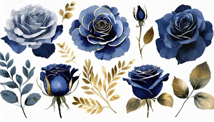 set watercolor design elements of roses collection garden navy blue flowers leaves gold branches botanic illustration isolated on white background - obrazy, fototapety, plakaty