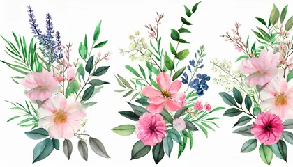  pink watercolor arrangements with flowers set bundle bouquets with wildflowers leaves branches botanical illustration © William