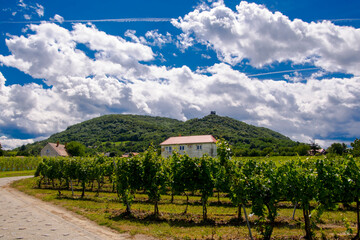 Fototapeta na wymiar Mount, vineyards, castle in Somlo
