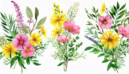  set watercolor arrangements with garden flowers bouquets with pink yellow wildflowers leaves branches botanic illustration isolated on white background © William