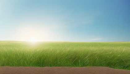 healthy grass and soil background