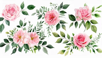 Fotobehang set watercolor arrangements with garden roses collection pink flowers leaves branches botanic illustration isolated on white background © William