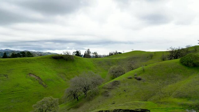 California's Suburb Housing by Drone Footage: Residential Hills of Sugarloaf and Mt. Diablo #1