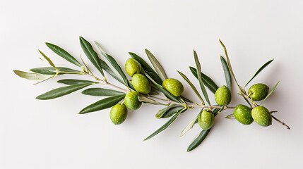 Serene olive branch adorned with ripe green olives against a pristine white background