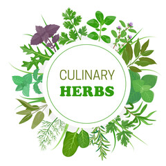 Fresh green herb leaves in circle. Culinary herbs with round emblem. Popular culinary herbs leaf set. Design concept for menu, restaurant, market. Vector illustration isolated on white background.