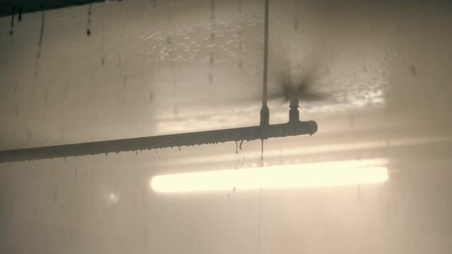 Activated Sprinkler Pipe in Misty Ambiance, A close-up of an activated sprinkler system with water droplets in the air creating a misty environment.