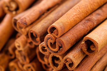 Cinnamon sticks close up. Concept for advertising a coffee shop, tea shop, spices. Cozy template, fragrant spices