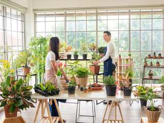 Portrait gardener young asian man woman two person standing smiling looking hand holding help decorate tree leaf green in calm work in room shop home plant white wall. hobby job happy and care concept - Powered by Adobe