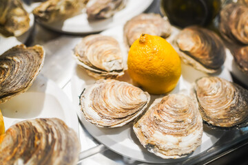 Assorted fresh oysters on ice with a lemon, seafood market display.