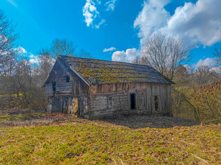 Obraz premium Abandoned 19th century wooden house with a mossy roof in a rural field in Lithuania, Europe