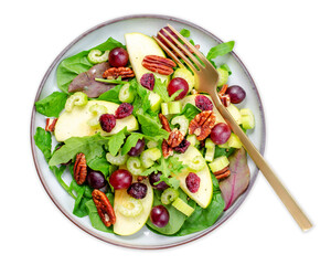 Waldorf Salad, Fresh Apple Salad with Cranberry, Grapes, Pecans and Salad Mix, Fall Salad, Comfort Food on White Background