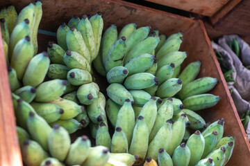 Kauai Farmer's market
