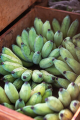 Kauai Farmer's market
