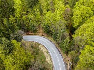 Aerial view of asphalt road winding through green springtime forest