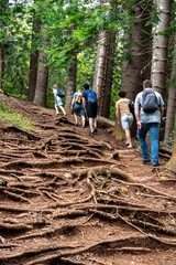 hiking in the mountains of kauai, hawaii, sleeping giant