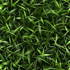 Realistic grass texture
