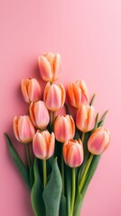 Fototapeta premium A bouquet of pink tulips on a pink background