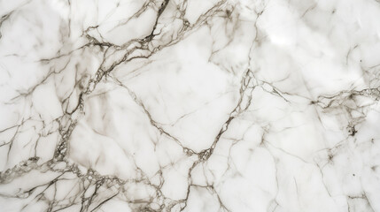 Abstract texture, white marble with intricate grey veining for background.