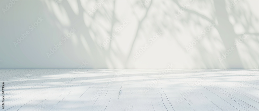 Poster empty white room with shadow of tree on wall. 3d rendering