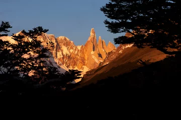 Foto auf Acrylglas Fitz Roy  Sunrise on the cerro Torre, in Chaltén viewed through the shadow of local trees