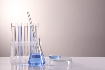 Laboratory analysis. Different glassware on table against light background, space for text