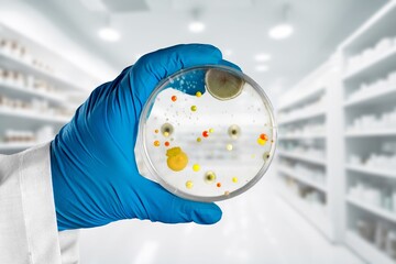 The rise of bacterial infections microbiological culture in Petri dish - obrazy, fototapety, plakaty