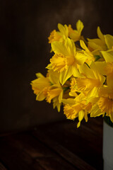 Bouquet of yellow daffodils in vase on dark brown background 