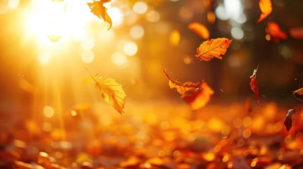 Fototapeten Lively closeup of falling autumn leaves with vibrant backlight from the setting sun © buraratn