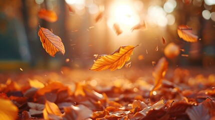 Lively closeup of falling autumn leaves with vibrant backlight from the setting sun