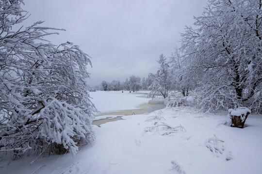 Snowy winter landscape with a river and bushes in the foreground.