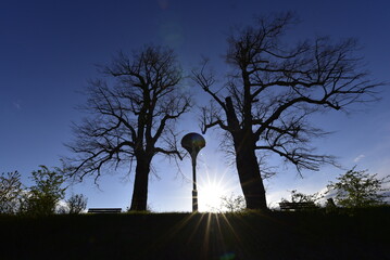 Wegekreuz mit zwei Bäumen vor blauem Himmel mit Sonnenstern