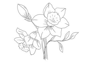 Black flower line corner on white background.