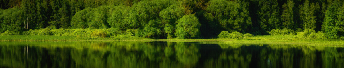 summer bright lush green landscape. panoramic widescreen view of the coastal forest with reflection on the calm water surface of a large lake