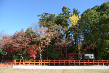 秋の上賀茂神社　境内の紅葉　京都市北区