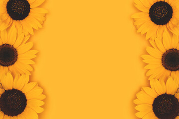 Border frame made of sunflowers on a yellow background. Place for text.