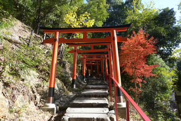 秋の上賀茂神社　二葉姫稲荷神社参道の鳥居　京都市北区