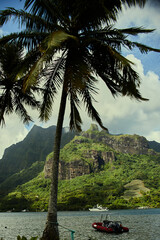 Tahiti moutain view