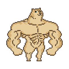 Big muscular dog, pixel art meme