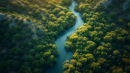 Drone's Eye View